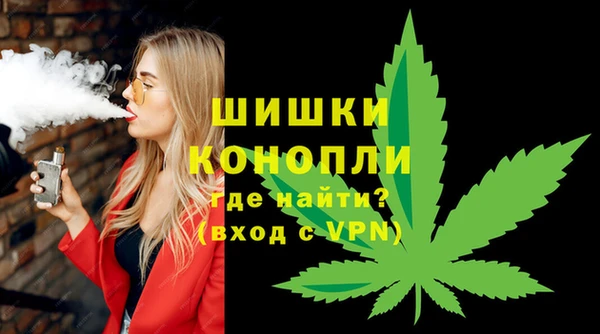 индика Аркадак