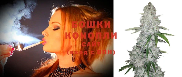 индика Аркадак