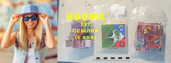 индика Аркадак