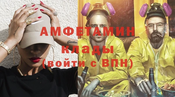 индика Аркадак