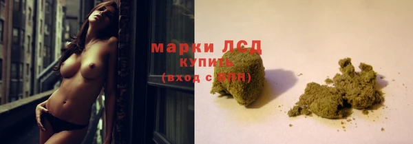 индика Аркадак