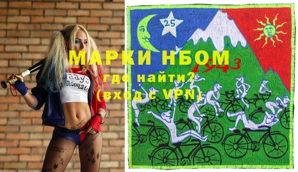 мдпв Арсеньев