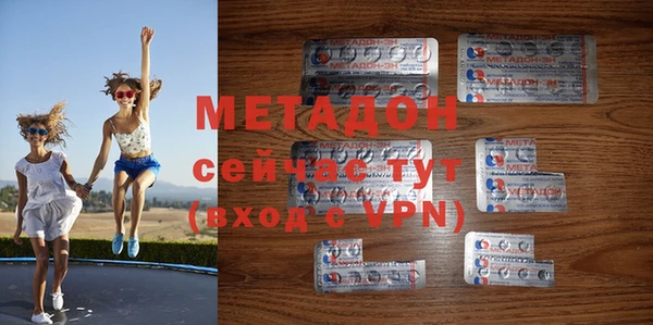 индика Аркадак