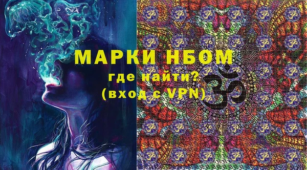 индика Аркадак