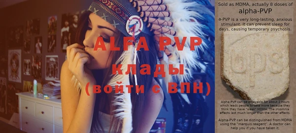 индика Аркадак