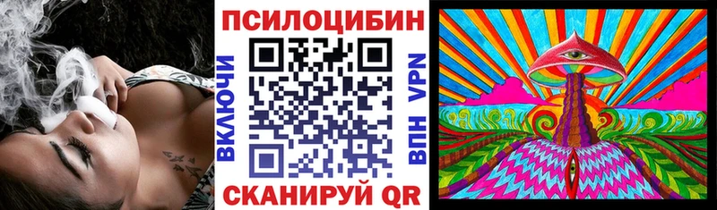 мориарти наркотические препараты  блэк спрут рабочий сайт  Псилоцибиновые грибы Magic Shrooms  Курганинск  где продают наркотики 